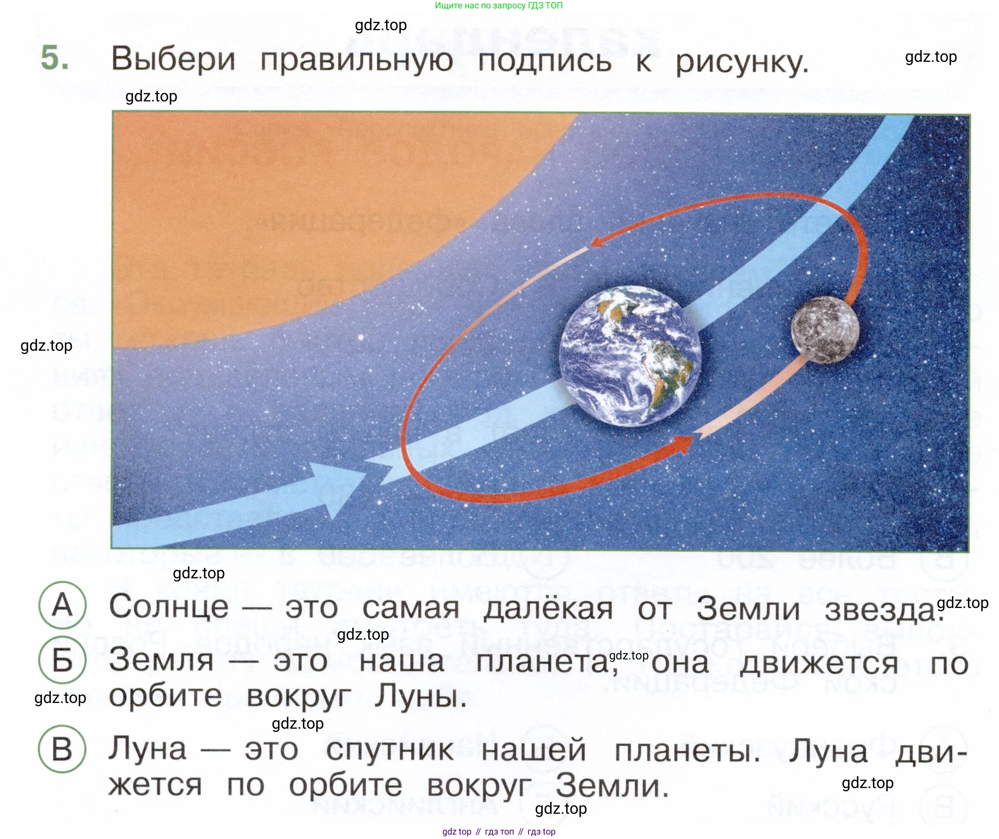 ГДЗ Окружающий мир, 2 класс Тесты, авторы: Плешаков Андрей Анатольевич, Новицкая Марина Юрьевна, Назарова З Д, издательство Просвещение, Москва, 2019, белого цвета, страница 4, номер 5, Условие