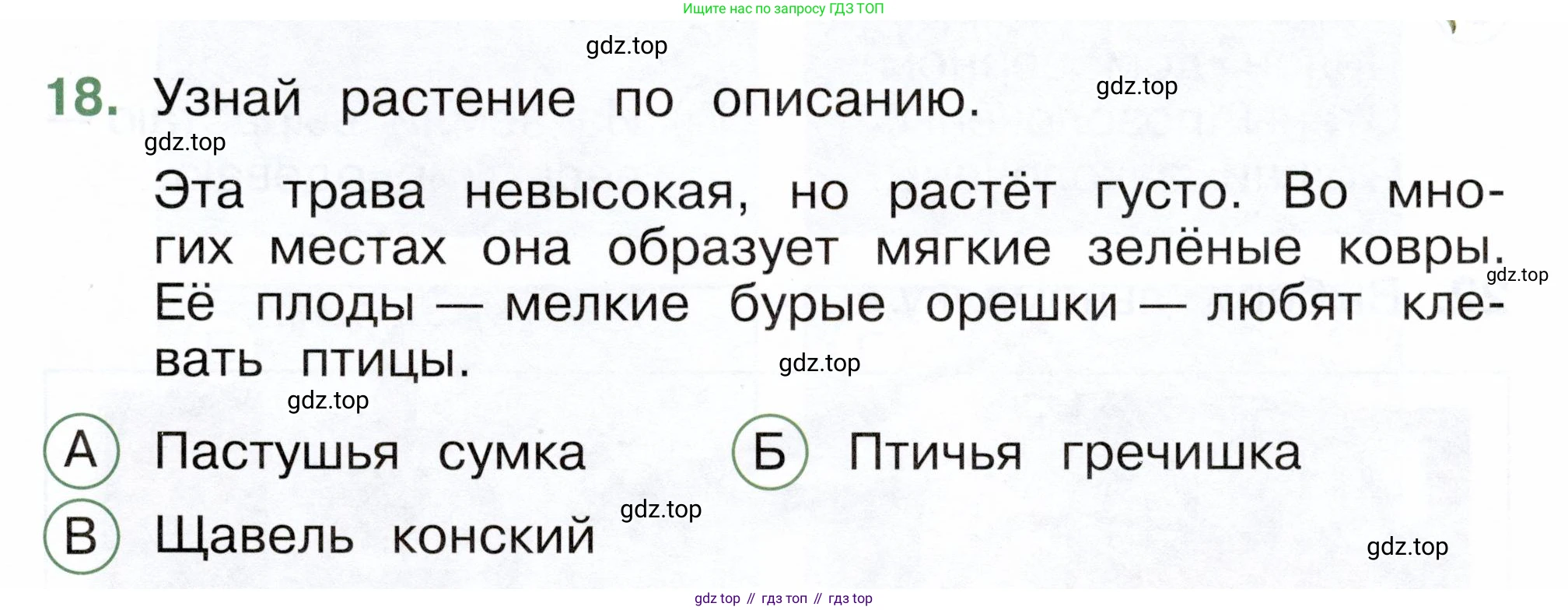 ГДЗ Окружающий мир, 2 класс Тесты, авторы: Плешаков Андрей Анатольевич, Новицкая Марина Юрьевна, Назарова З Д, издательство Просвещение, Москва, 2019, белого цвета, страница 21, номер 18, Условие