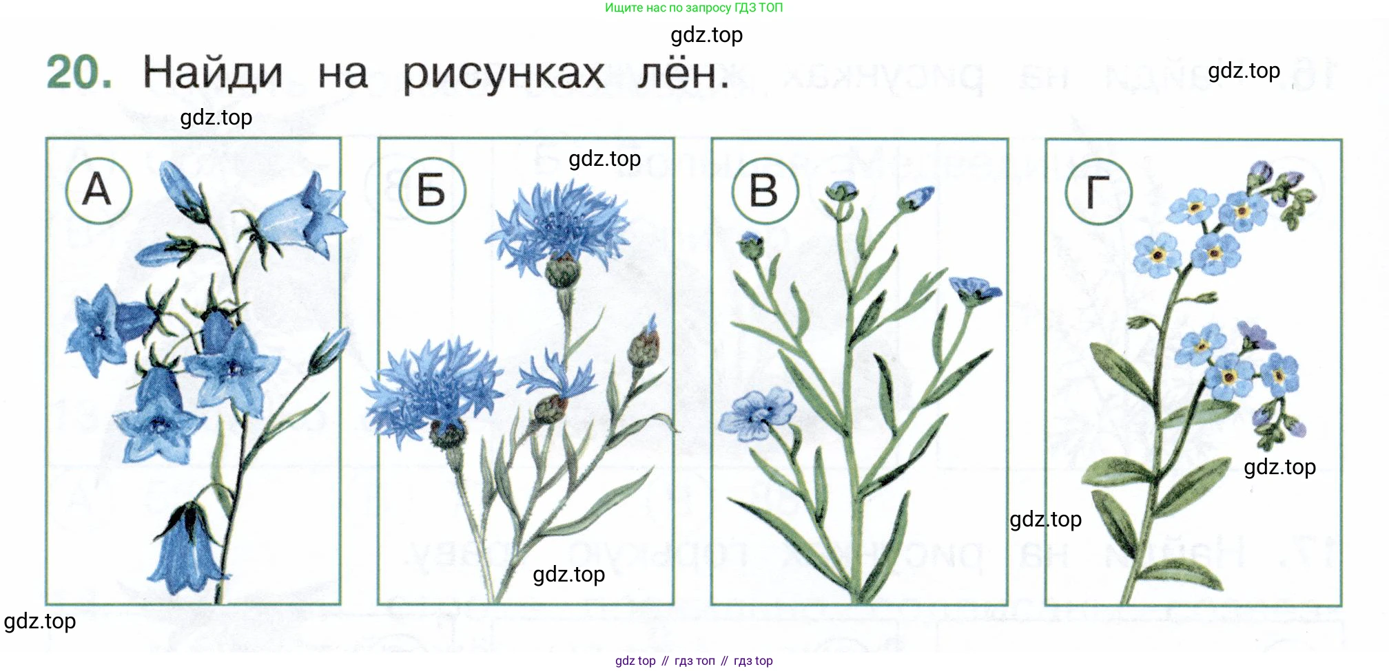 ГДЗ Окружающий мир, 2 класс Тесты, авторы: Плешаков Андрей Анатольевич, Новицкая Марина Юрьевна, Назарова З Д, издательство Просвещение, Москва, 2019, белого цвета, страница 22, номер 20, Условие