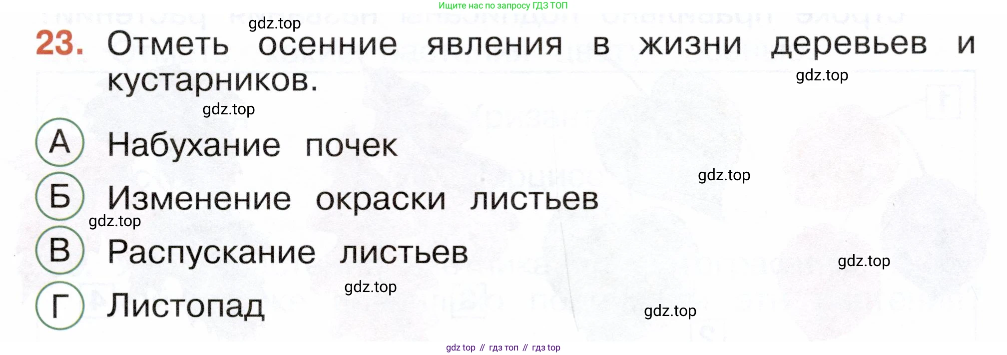 ГДЗ Окружающий мир, 2 класс Тесты, авторы: Плешаков Андрей Анатольевич, Новицкая Марина Юрьевна, Назарова З Д, издательство Просвещение, Москва, 2019, белого цвета, страница 23, номер 23, Условие