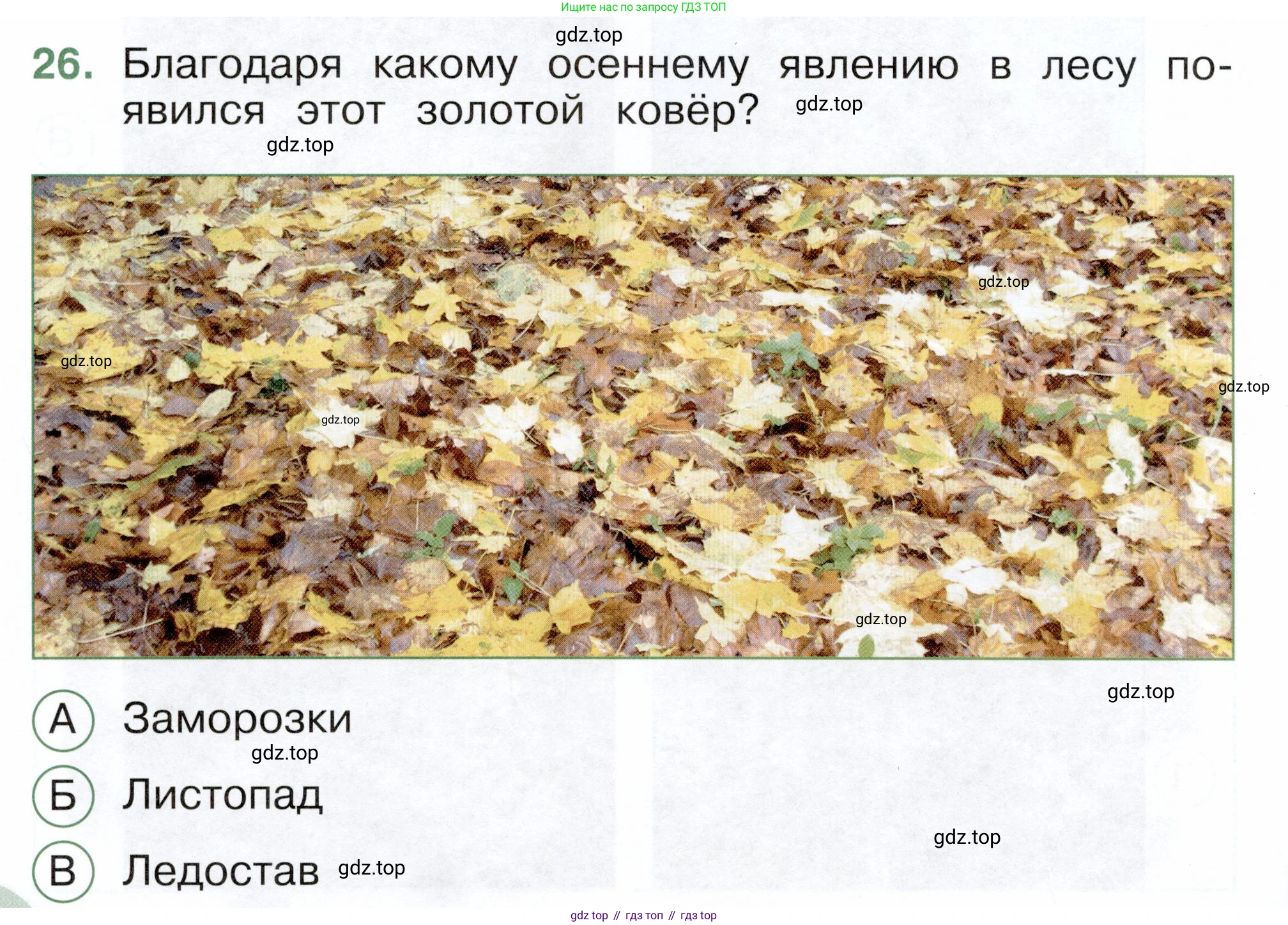 ГДЗ Окружающий мир, 2 класс Тесты, авторы: Плешаков Андрей Анатольевич, Новицкая Марина Юрьевна, Назарова З Д, издательство Просвещение, Москва, 2019, белого цвета, страница 24, номер 26, Условие