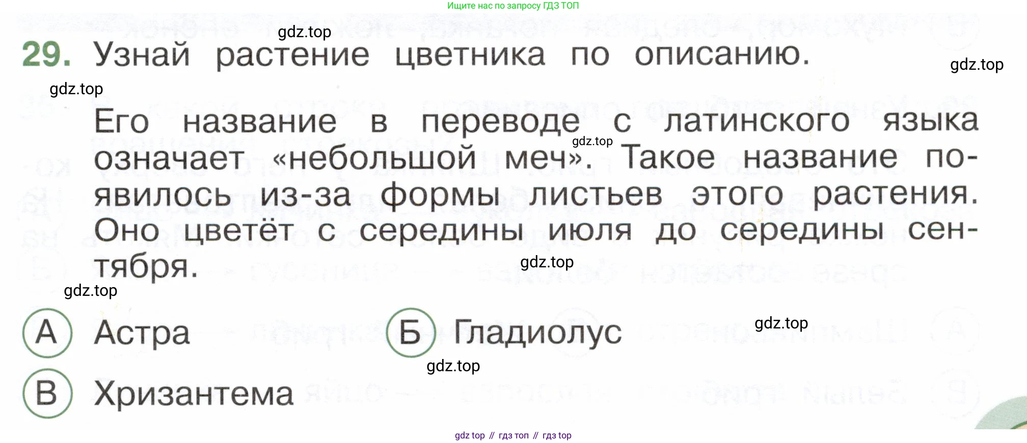 ГДЗ Окружающий мир, 2 класс Тесты, авторы: Плешаков Андрей Анатольевич, Новицкая Марина Юрьевна, Назарова З Д, издательство Просвещение, Москва, 2019, белого цвета, страница 25, номер 29, Условие