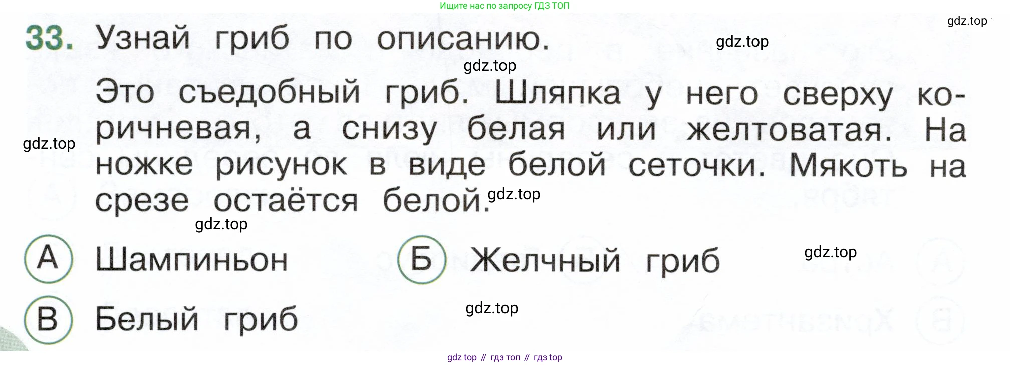 ГДЗ Окружающий мир, 2 класс Тесты, авторы: Плешаков Андрей Анатольевич, Новицкая Марина Юрьевна, Назарова З Д, издательство Просвещение, Москва, 2019, белого цвета, страница 26, номер 33, Условие