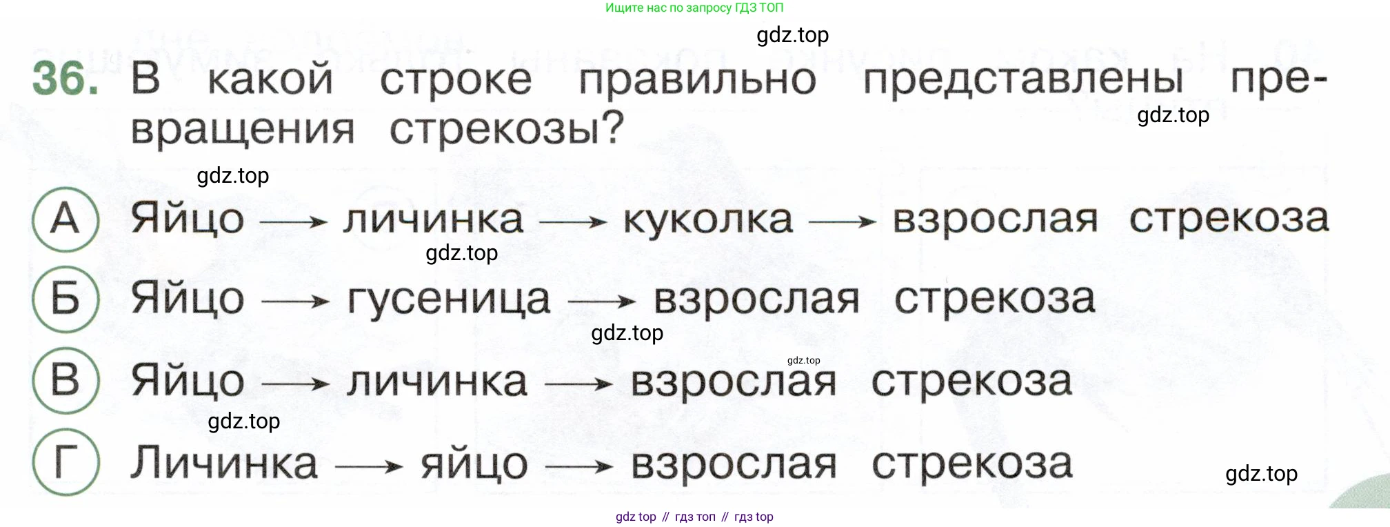 ГДЗ Окружающий мир, 2 класс Тесты, авторы: Плешаков Андрей Анатольевич, Новицкая Марина Юрьевна, Назарова З Д, издательство Просвещение, Москва, 2019, белого цвета, страница 27, номер 36, Условие