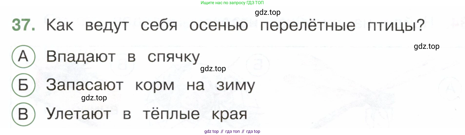 ГДЗ Окружающий мир, 2 класс Тесты, авторы: Плешаков Андрей Анатольевич, Новицкая Марина Юрьевна, Назарова З Д, издательство Просвещение, Москва, 2019, белого цвета, страница 28, номер 37, Условие