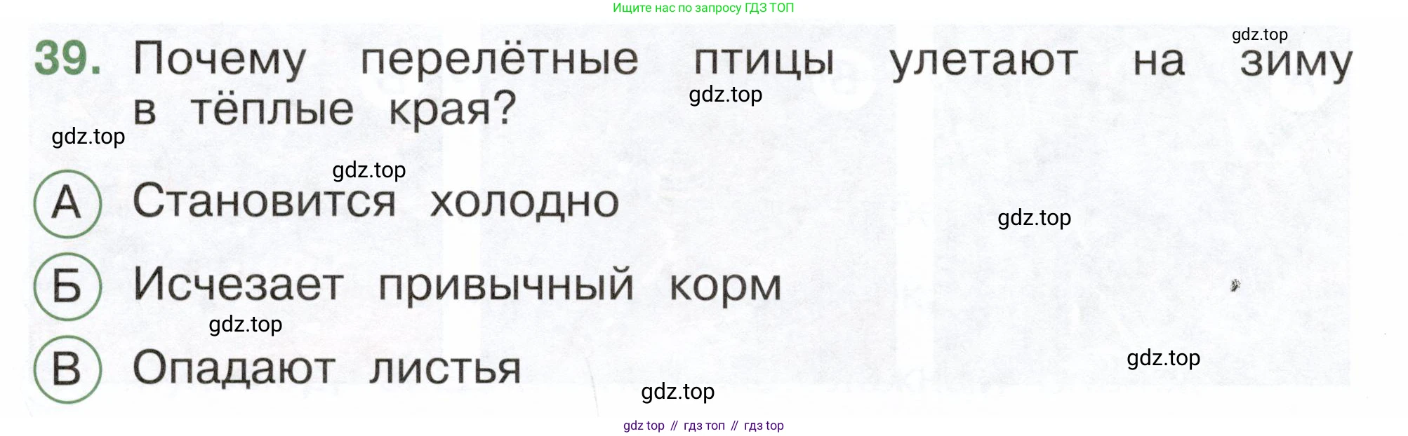 ГДЗ Окружающий мир, 2 класс Тесты, авторы: Плешаков Андрей Анатольевич, Новицкая Марина Юрьевна, Назарова З Д, издательство Просвещение, Москва, 2019, белого цвета, страница 28, номер 39, Условие