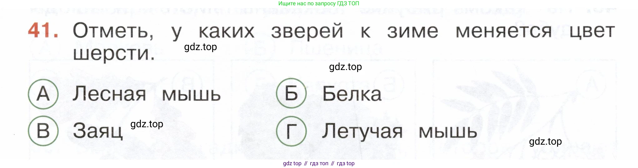 ГДЗ Окружающий мир, 2 класс Тесты, авторы: Плешаков Андрей Анатольевич, Новицкая Марина Юрьевна, Назарова З Д, издательство Просвещение, Москва, 2019, белого цвета, страница 29, номер 41, Условие