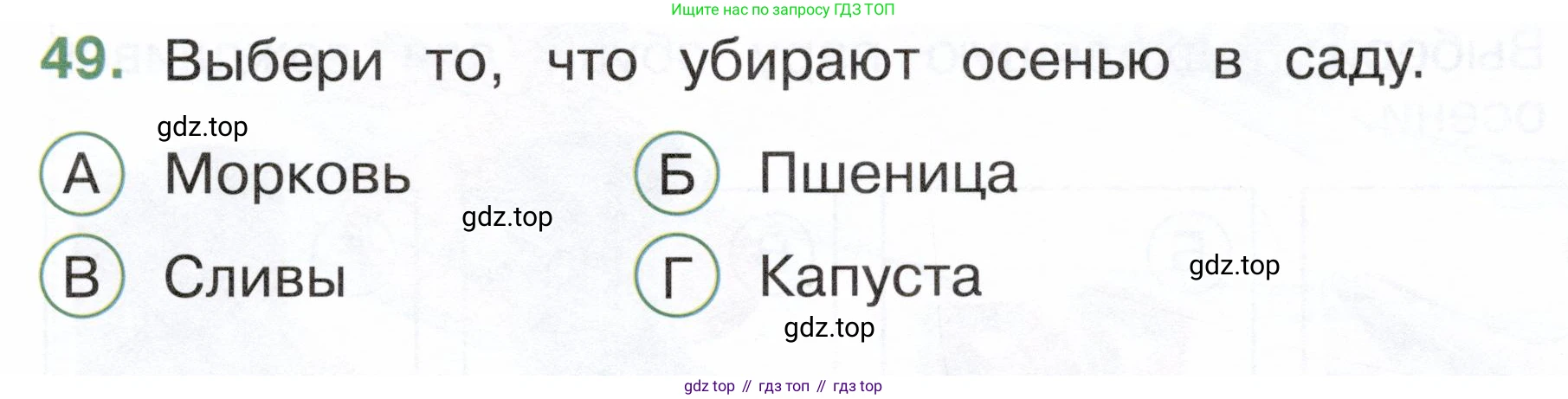 ГДЗ Окружающий мир, 2 класс Тесты, авторы: Плешаков Андрей Анатольевич, Новицкая Марина Юрьевна, Назарова З Д, издательство Просвещение, Москва, 2019, белого цвета, страница 31, номер 49, Условие