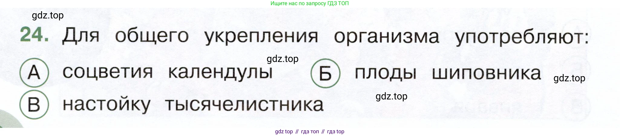 ГДЗ Окружающий мир, 2 класс Тесты, авторы: Плешаков Андрей Анатольевич, Новицкая Марина Юрьевна, Назарова З Д, издательство Просвещение, Москва, 2019, белого цвета, страница 44, номер 24, Условие