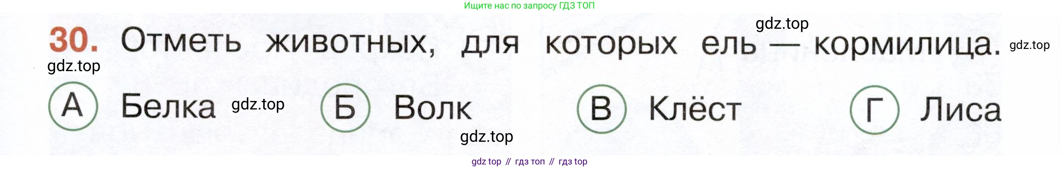 ГДЗ Окружающий мир, 2 класс Тесты, авторы: Плешаков Андрей Анатольевич, Новицкая Марина Юрьевна, Назарова З Д, издательство Просвещение, Москва, 2019, белого цвета, страница 47, номер 30, Условие