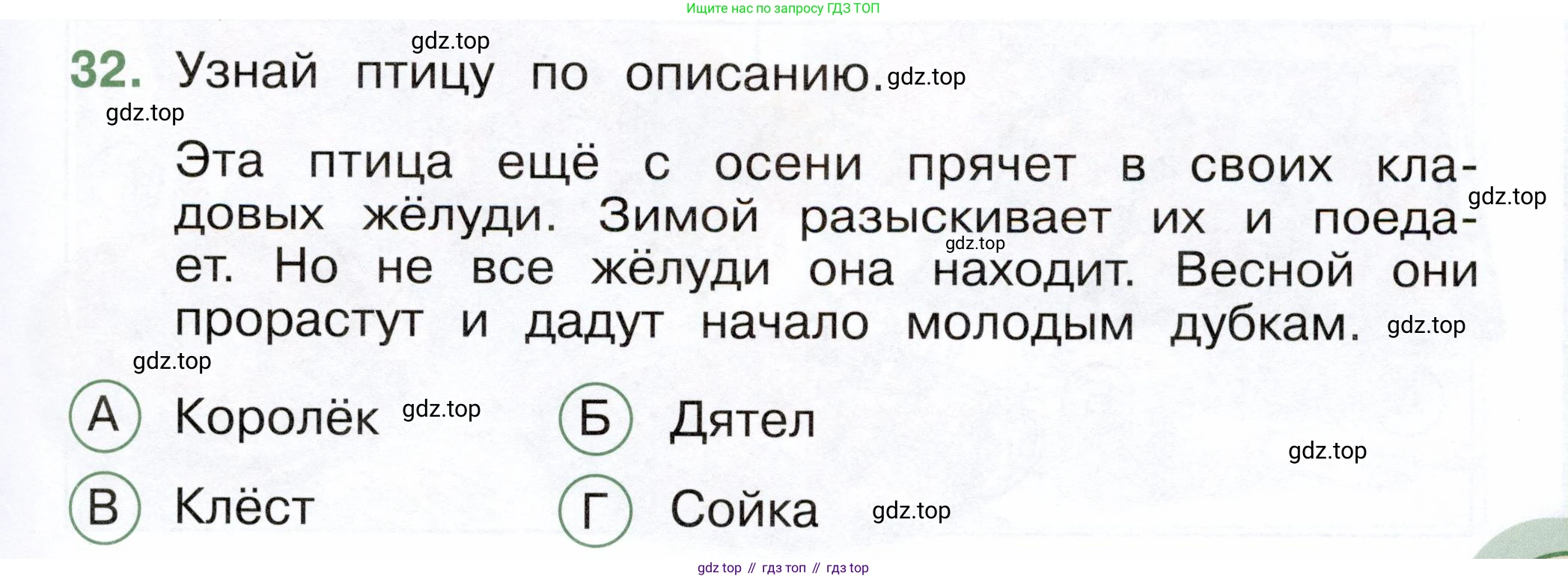 ГДЗ Окружающий мир, 2 класс Тесты, авторы: Плешаков Андрей Анатольевич, Новицкая Марина Юрьевна, Назарова З Д, издательство Просвещение, Москва, 2019, белого цвета, страница 47, номер 32, Условие