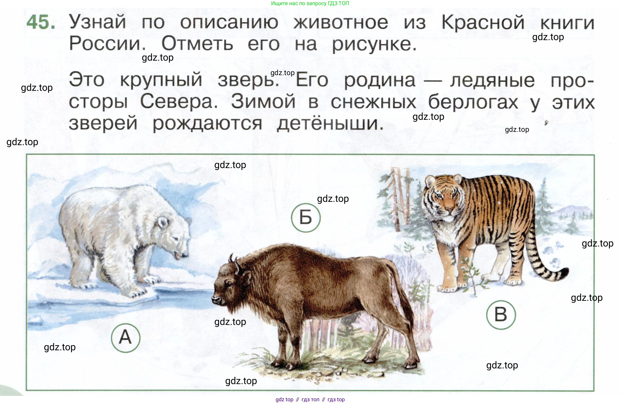 ГДЗ Окружающий мир, 2 класс Тесты, авторы: Плешаков Андрей Анатольевич, Новицкая Марина Юрьевна, Назарова З Д, издательство Просвещение, Москва, 2019, белого цвета, страница 54, номер 45, Условие