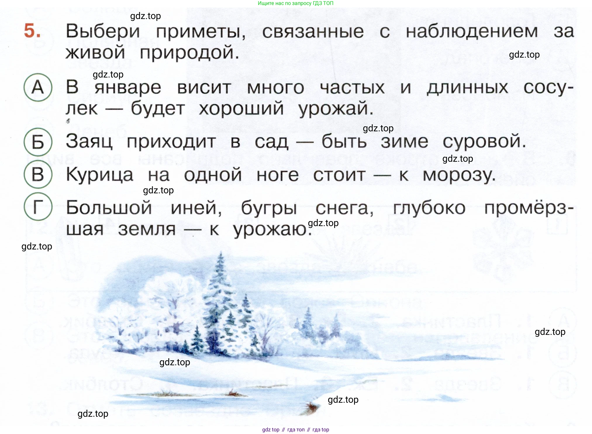 ГДЗ Окружающий мир, 2 класс Тесты, авторы: Плешаков Андрей Анатольевич, Новицкая Марина Юрьевна, Назарова З Д, издательство Просвещение, Москва, 2019, белого цвета, страница 37, номер 5, Условие