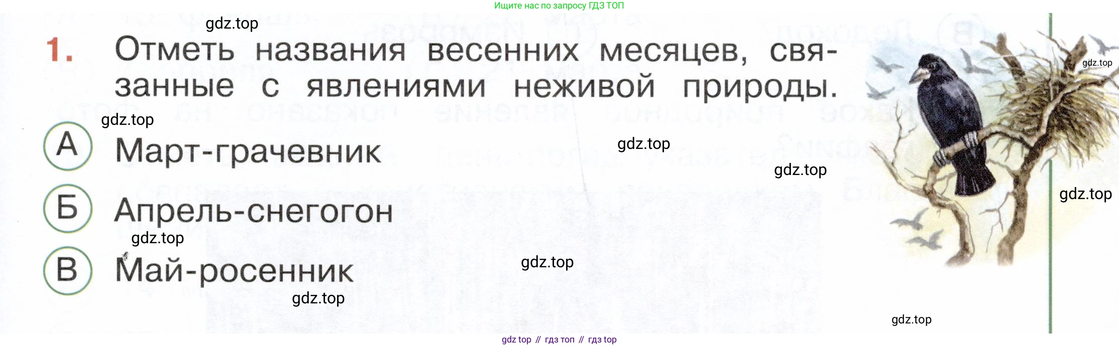ГДЗ Окружающий мир, 2 класс Тесты, авторы: Плешаков Андрей Анатольевич, Новицкая Марина Юрьевна, Назарова З Д, издательство Просвещение, Москва, 2019, белого цвета, страница 55, номер 1, Условие