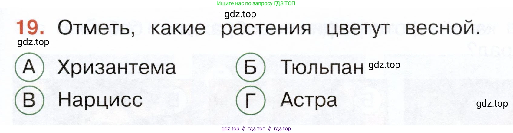 ГДЗ Окружающий мир, 2 класс Тесты, авторы: Плешаков Андрей Анатольевич, Новицкая Марина Юрьевна, Назарова З Д, издательство Просвещение, Москва, 2019, белого цвета, страница 61, номер 19, Условие
