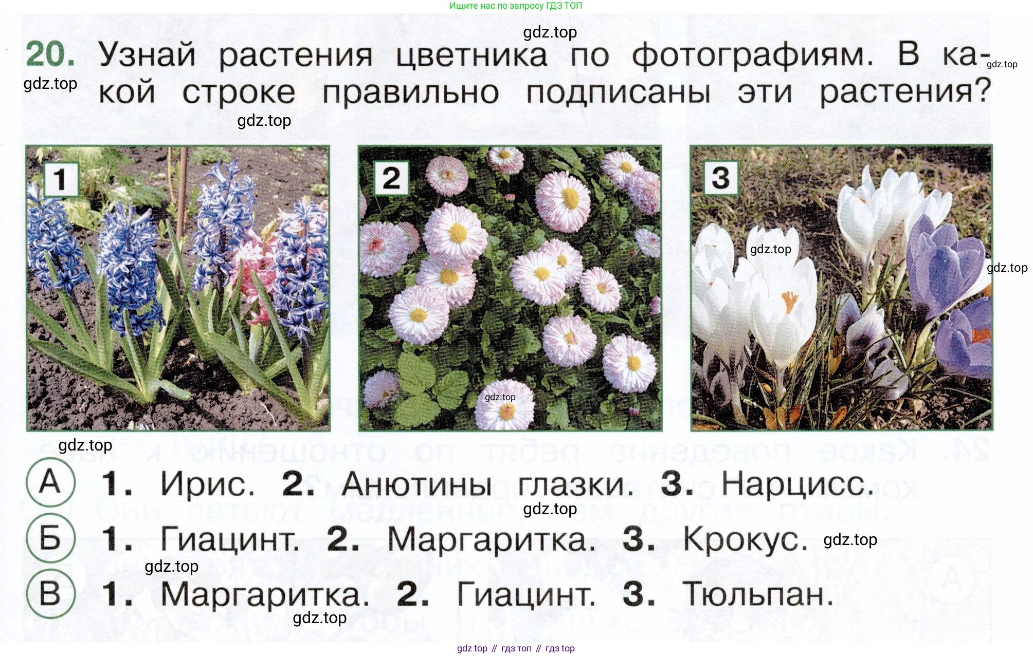 ГДЗ Окружающий мир, 2 класс Тесты, авторы: Плешаков Андрей Анатольевич, Новицкая Марина Юрьевна, Назарова З Д, издательство Просвещение, Москва, 2019, белого цвета, страница 61, номер 20, Условие