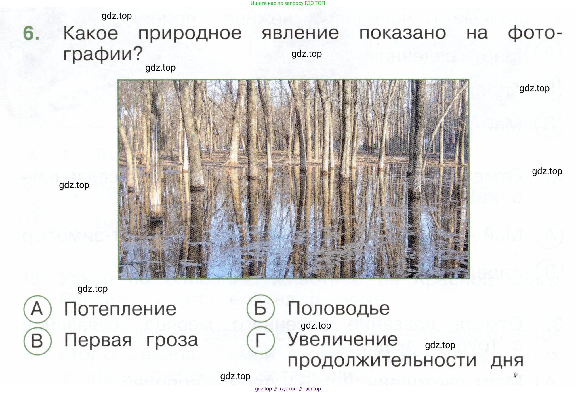 ГДЗ Окружающий мир, 2 класс Тесты, авторы: Плешаков Андрей Анатольевич, Новицкая Марина Юрьевна, Назарова З Д, издательство Просвещение, Москва, 2019, белого цвета, страница 56, номер 6, Условие