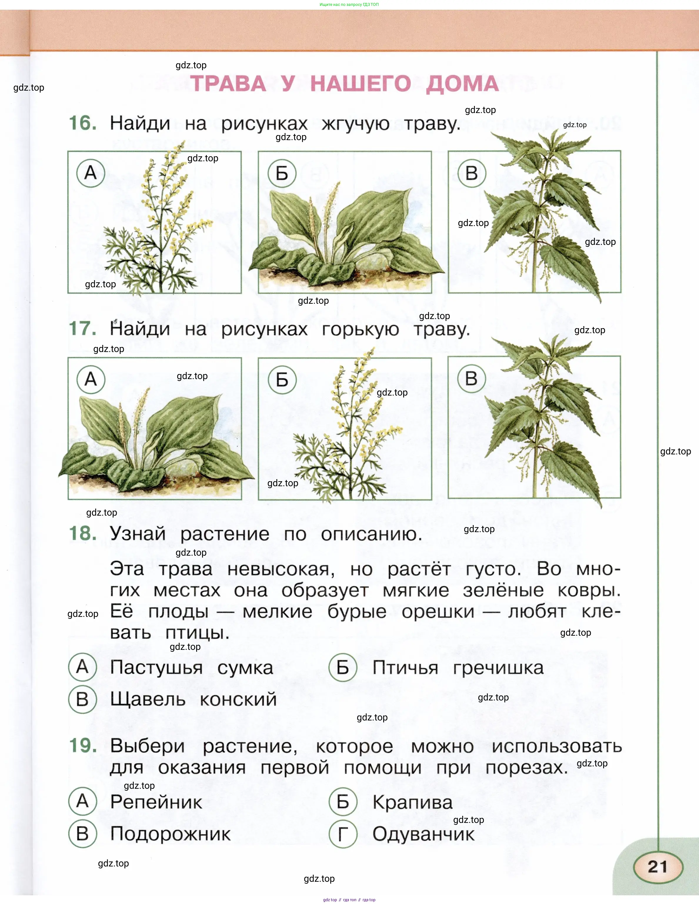 Окружающий мир, 2 класс Тесты, авторы: Плешаков Андрей Анатольевич, Новицкая Марина Юрьевна, Назарова З Д, издательство Просвещение, Москва, 2019, белого цвета, страница 21