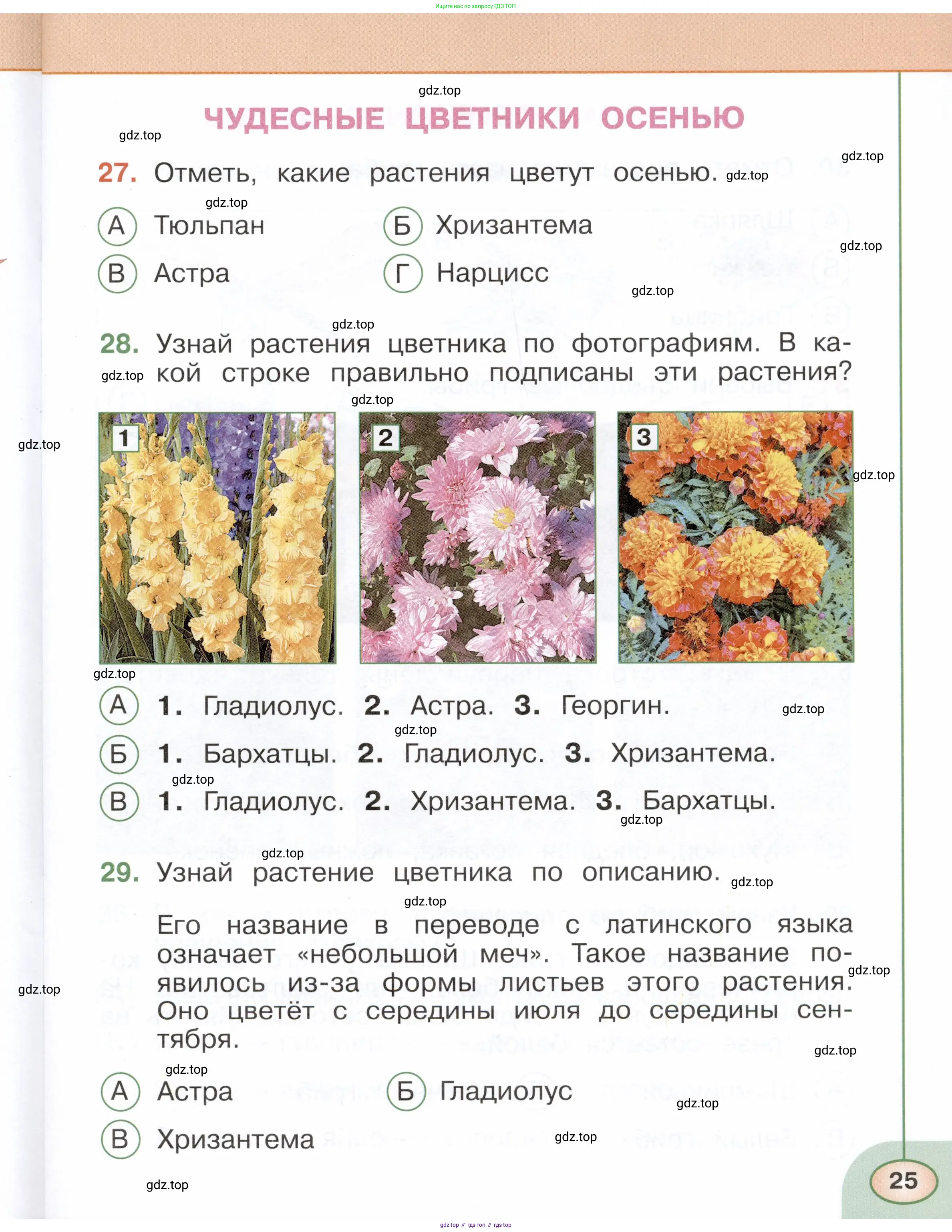 Окружающий мир, 2 класс Тесты, авторы: Плешаков Андрей Анатольевич, Новицкая Марина Юрьевна, Назарова З Д, издательство Просвещение, Москва, 2019, белого цвета, страница 25