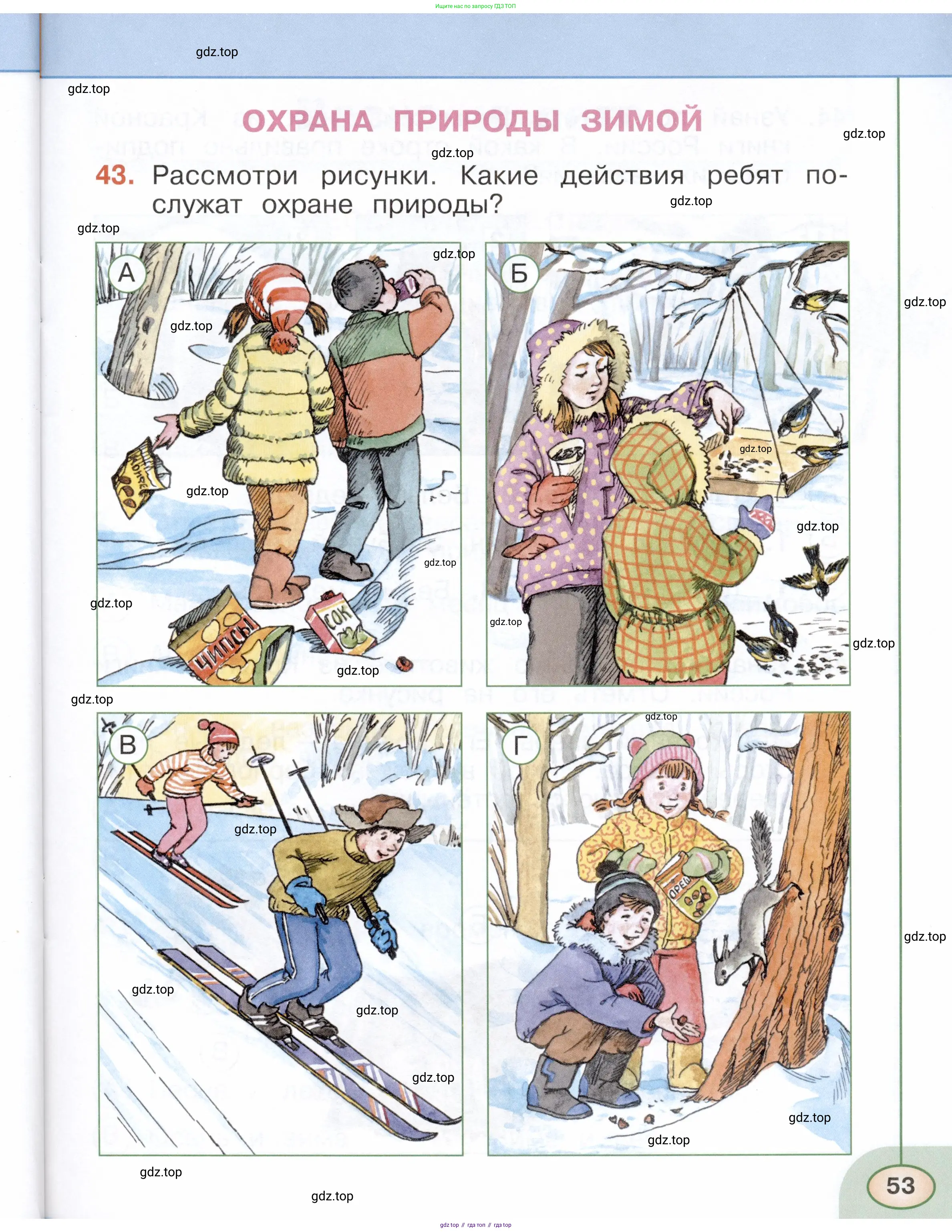 Окружающий мир, 2 класс Тесты, авторы: Плешаков Андрей Анатольевич, Новицкая Марина Юрьевна, Назарова З Д, издательство Просвещение, Москва, 2019, белого цвета, страница 53