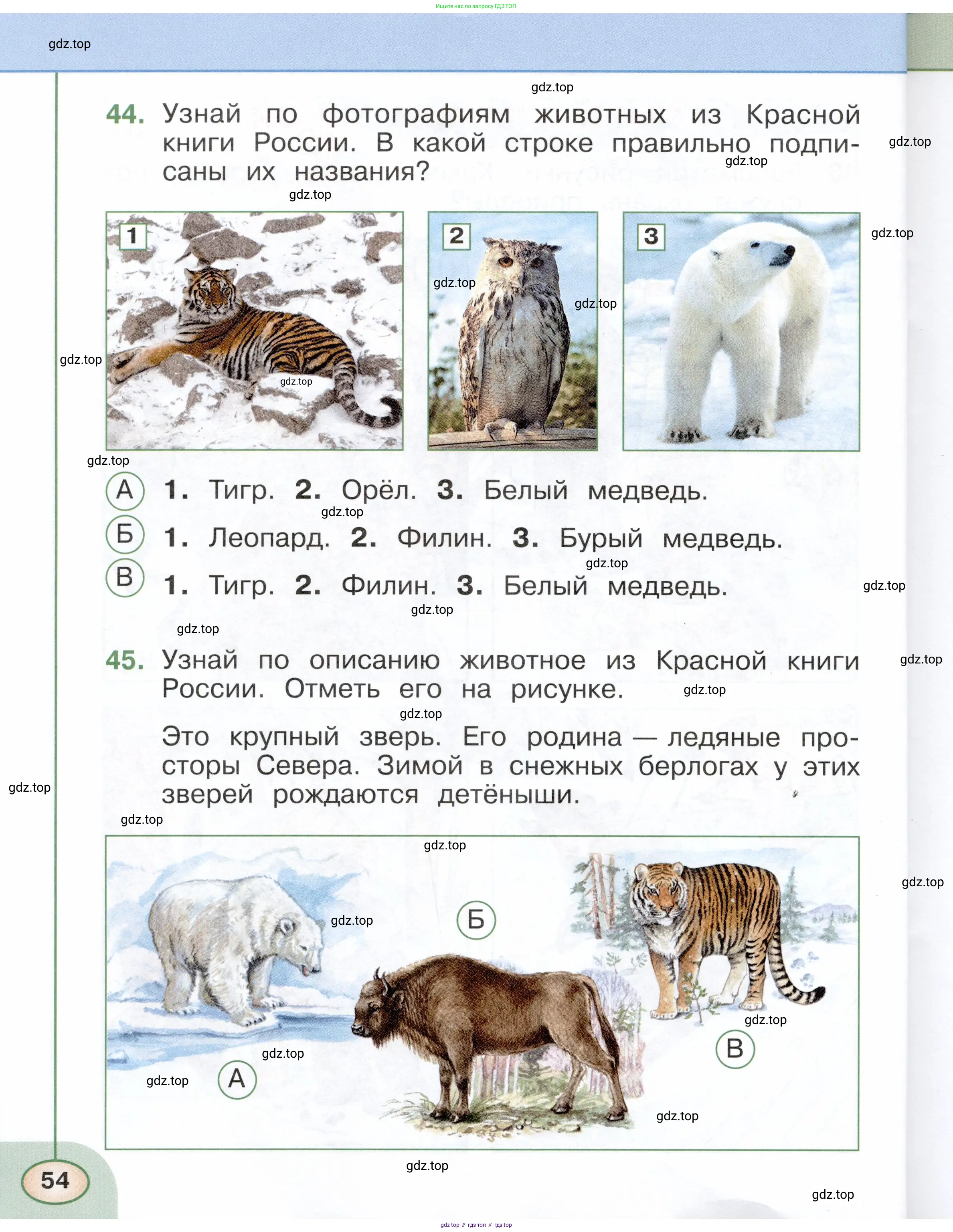 Окружающий мир, 2 класс Тесты, авторы: Плешаков Андрей Анатольевич, Новицкая Марина Юрьевна, Назарова З Д, издательство Просвещение, Москва, 2019, белого цвета, страница 54