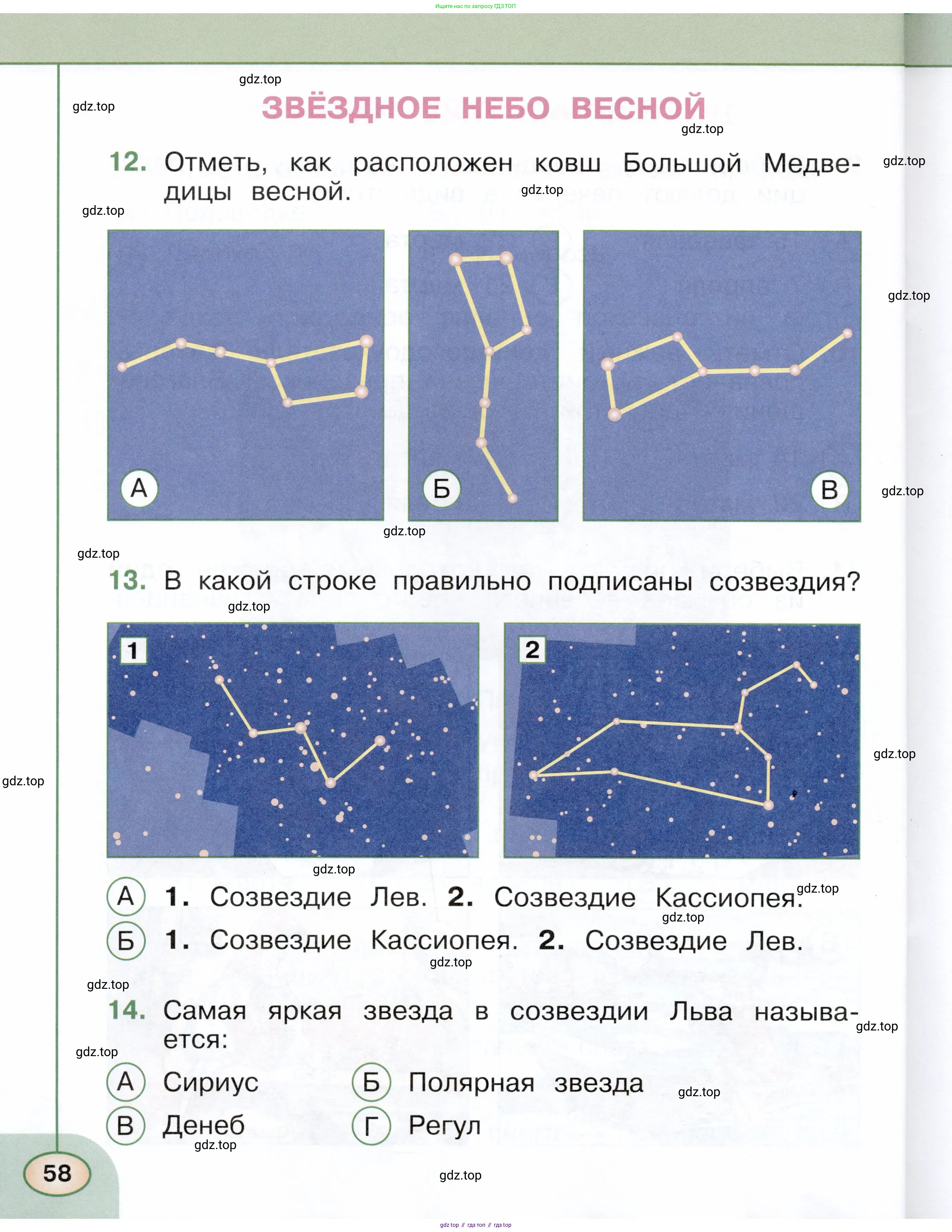 Окружающий мир, 2 класс Тесты, авторы: Плешаков Андрей Анатольевич, Новицкая Марина Юрьевна, Назарова З Д, издательство Просвещение, Москва, 2019, белого цвета, страница 58