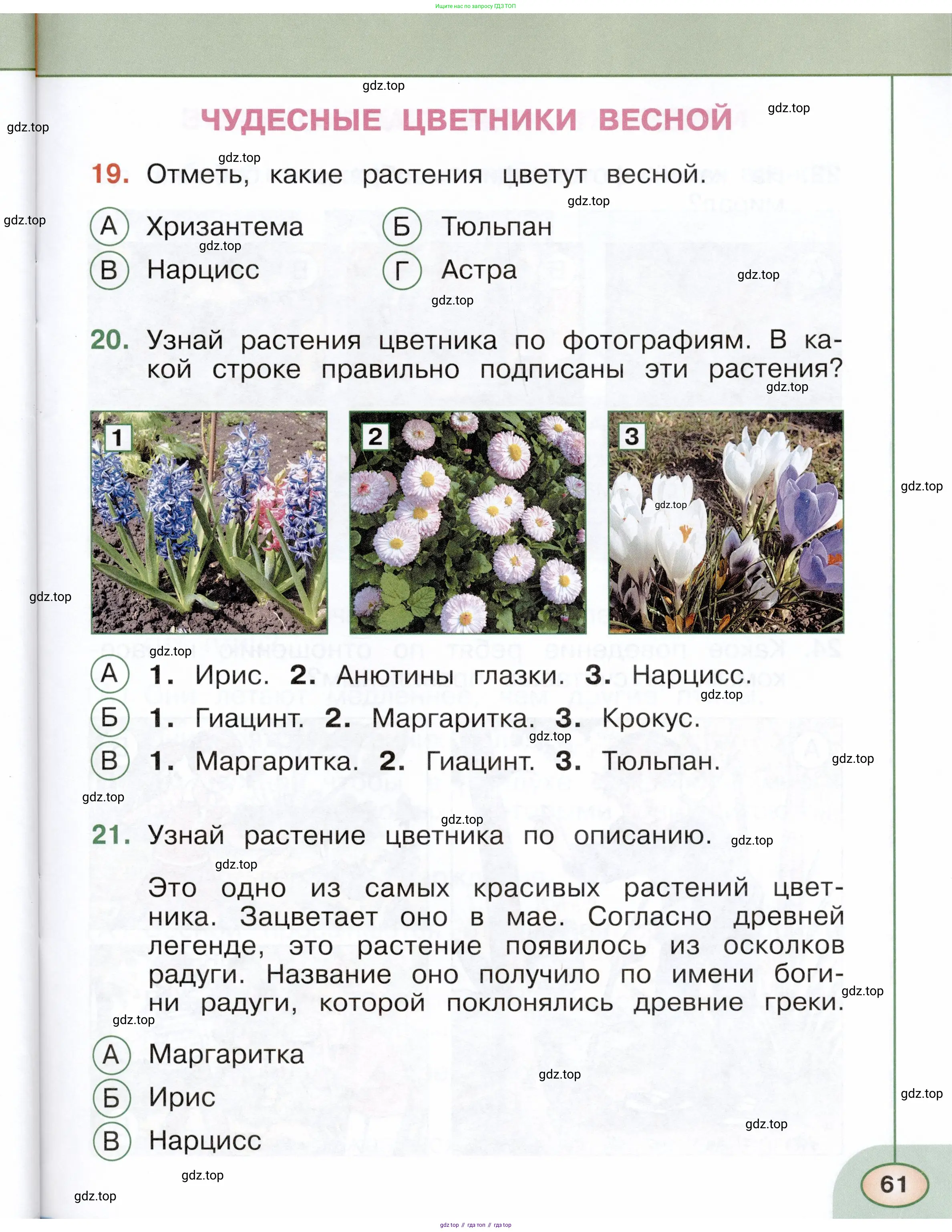 Окружающий мир, 2 класс Тесты, авторы: Плешаков Андрей Анатольевич, Новицкая Марина Юрьевна, Назарова З Д, издательство Просвещение, Москва, 2019, белого цвета, страница 61