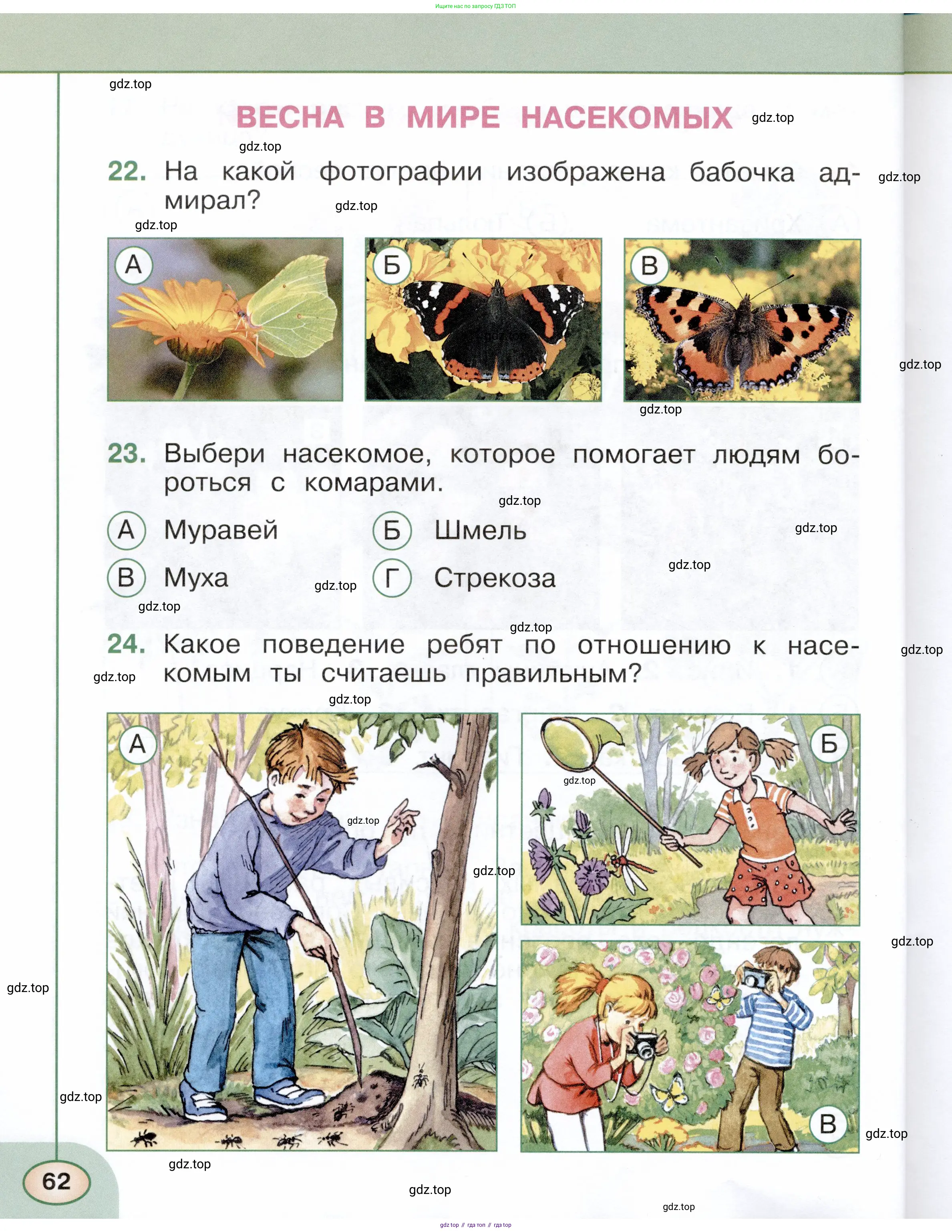 Окружающий мир, 2 класс Тесты, авторы: Плешаков Андрей Анатольевич, Новицкая Марина Юрьевна, Назарова З Д, издательство Просвещение, Москва, 2019, белого цвета, страница 62