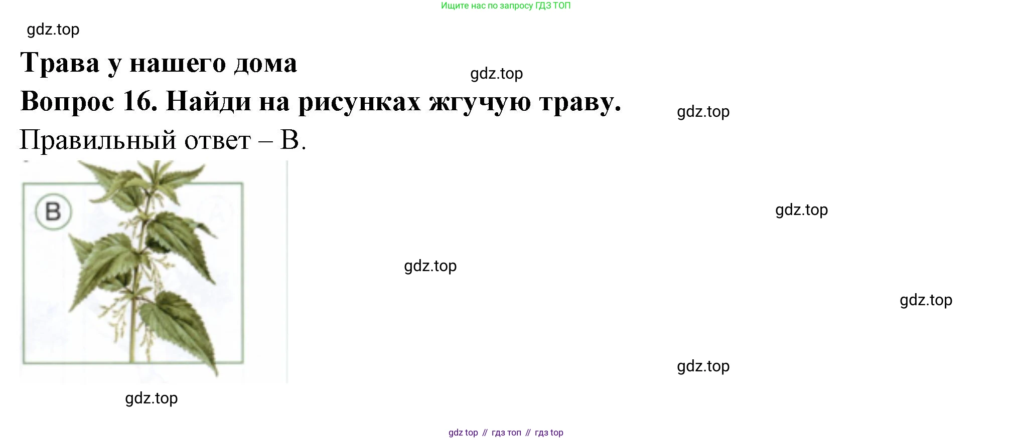 ГДЗ Окружающий мир, 2 класс Тесты, авторы: Плешаков Андрей Анатольевич, Новицкая Марина Юрьевна, Назарова З Д, издательство Просвещение, Москва, 2019, белого цвета, страница 21, номер 16, Решение