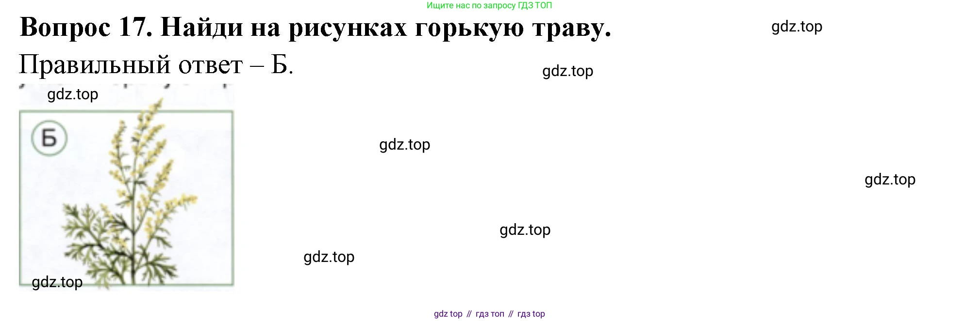 ГДЗ Окружающий мир, 2 класс Тесты, авторы: Плешаков Андрей Анатольевич, Новицкая Марина Юрьевна, Назарова З Д, издательство Просвещение, Москва, 2019, белого цвета, страница 21, номер 17, Решение