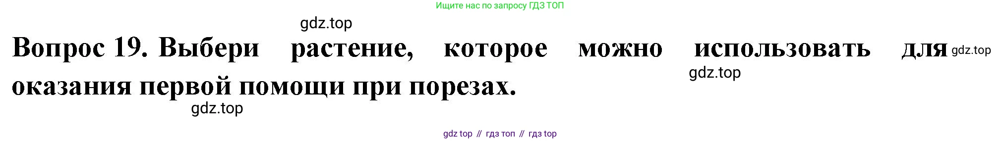ГДЗ Окружающий мир, 2 класс Тесты, авторы: Плешаков Андрей Анатольевич, Новицкая Марина Юрьевна, Назарова З Д, издательство Просвещение, Москва, 2019, белого цвета, страница 21, номер 19, Решение