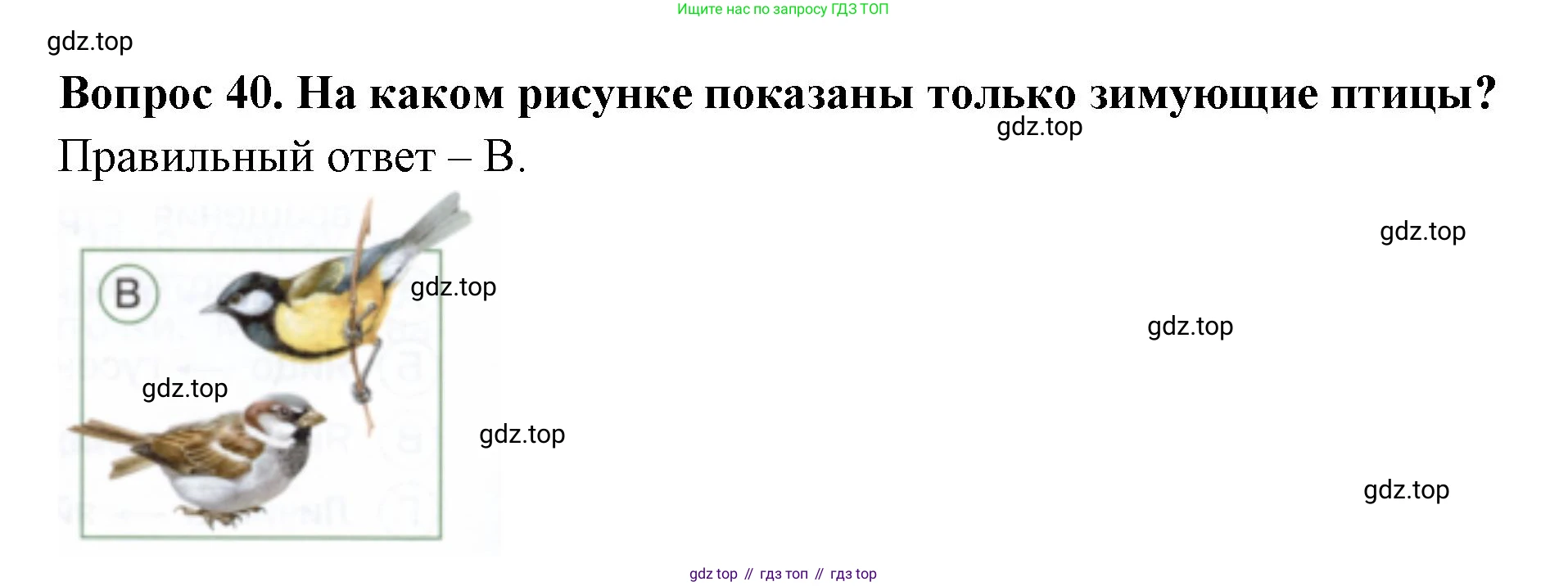 ГДЗ Окружающий мир, 2 класс Тесты, авторы: Плешаков Андрей Анатольевич, Новицкая Марина Юрьевна, Назарова З Д, издательство Просвещение, Москва, 2019, белого цвета, страница 28, номер 40, Решение
