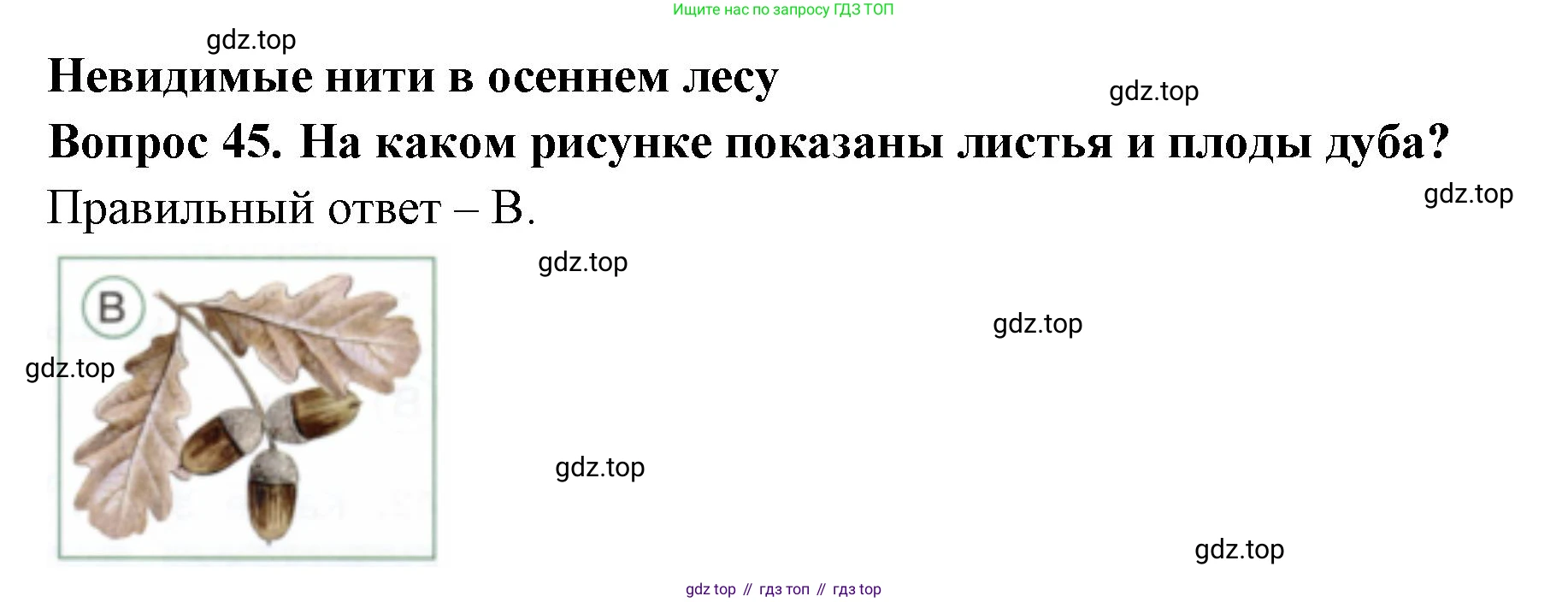 ГДЗ Окружающий мир, 2 класс Тесты, авторы: Плешаков Андрей Анатольевич, Новицкая Марина Юрьевна, Назарова З Д, издательство Просвещение, Москва, 2019, белого цвета, страница 30, номер 45, Решение