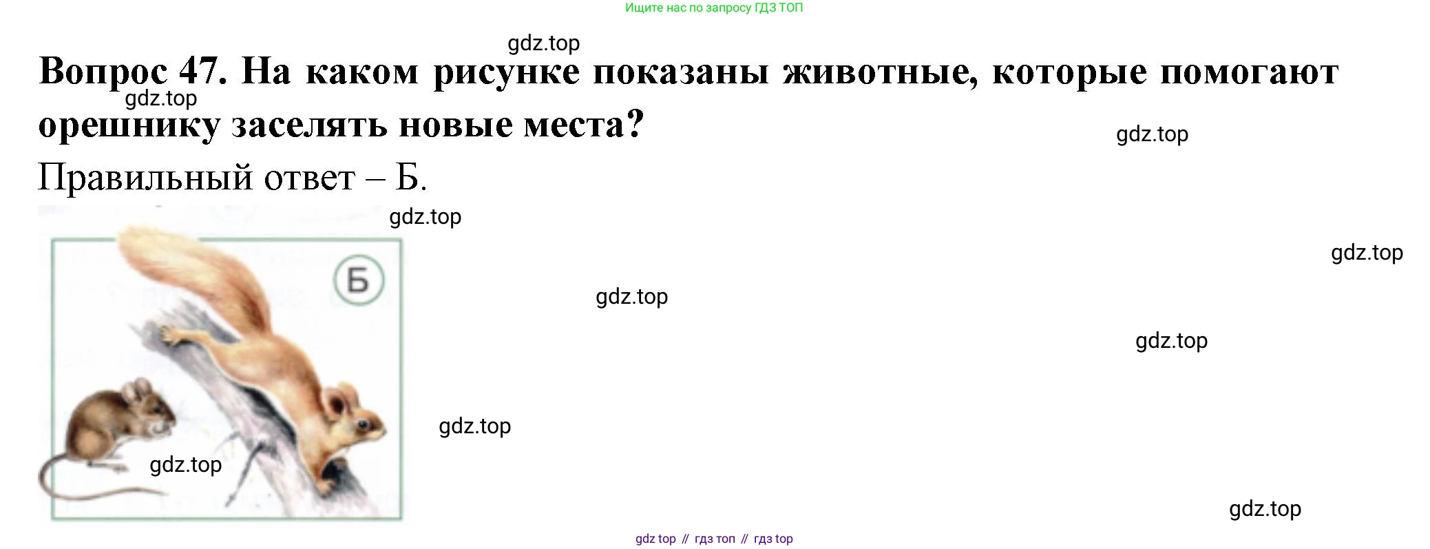 ГДЗ Окружающий мир, 2 класс Тесты, авторы: Плешаков Андрей Анатольевич, Новицкая Марина Юрьевна, Назарова З Д, издательство Просвещение, Москва, 2019, белого цвета, страница 30, номер 47, Решение