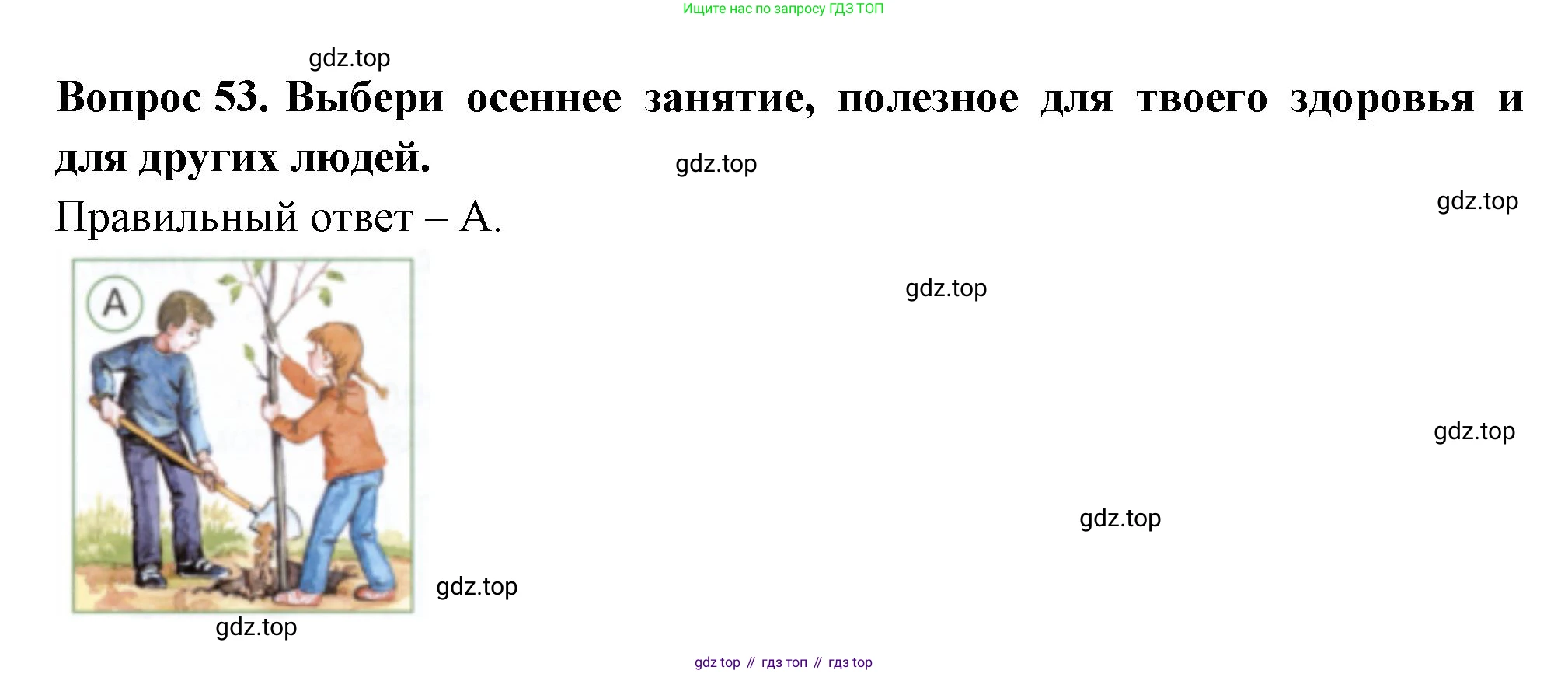ГДЗ Окружающий мир, 2 класс Тесты, авторы: Плешаков Андрей Анатольевич, Новицкая Марина Юрьевна, Назарова З Д, издательство Просвещение, Москва, 2019, белого цвета, страница 32, номер 53, Решение