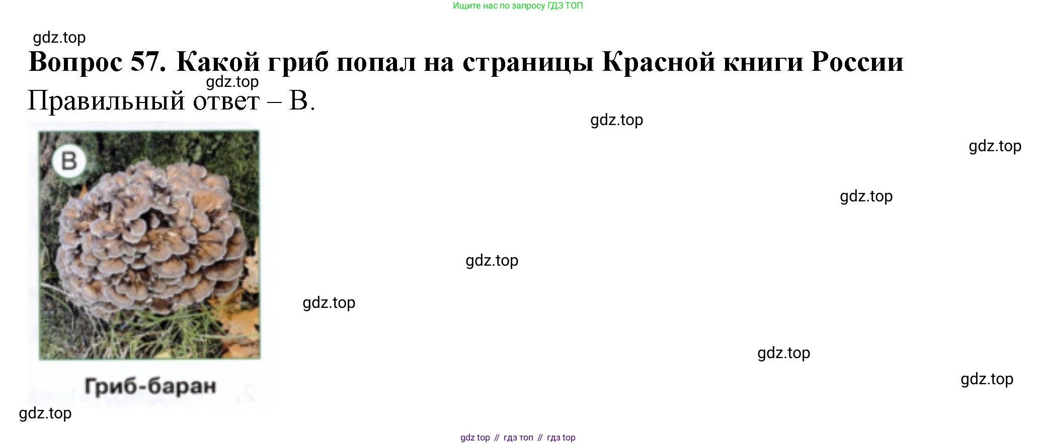 ГДЗ Окружающий мир, 2 класс Тесты, авторы: Плешаков Андрей Анатольевич, Новицкая Марина Юрьевна, Назарова З Д, издательство Просвещение, Москва, 2019, белого цвета, страница 35, номер 57, Решение