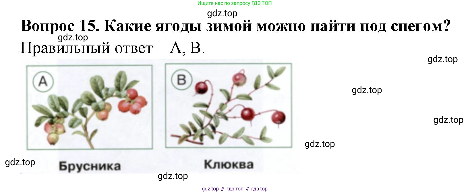 ГДЗ Окружающий мир, 2 класс Тесты, авторы: Плешаков Андрей Анатольевич, Новицкая Марина Юрьевна, Назарова З Д, издательство Просвещение, Москва, 2019, белого цвета, страница 40, номер 15, Решение