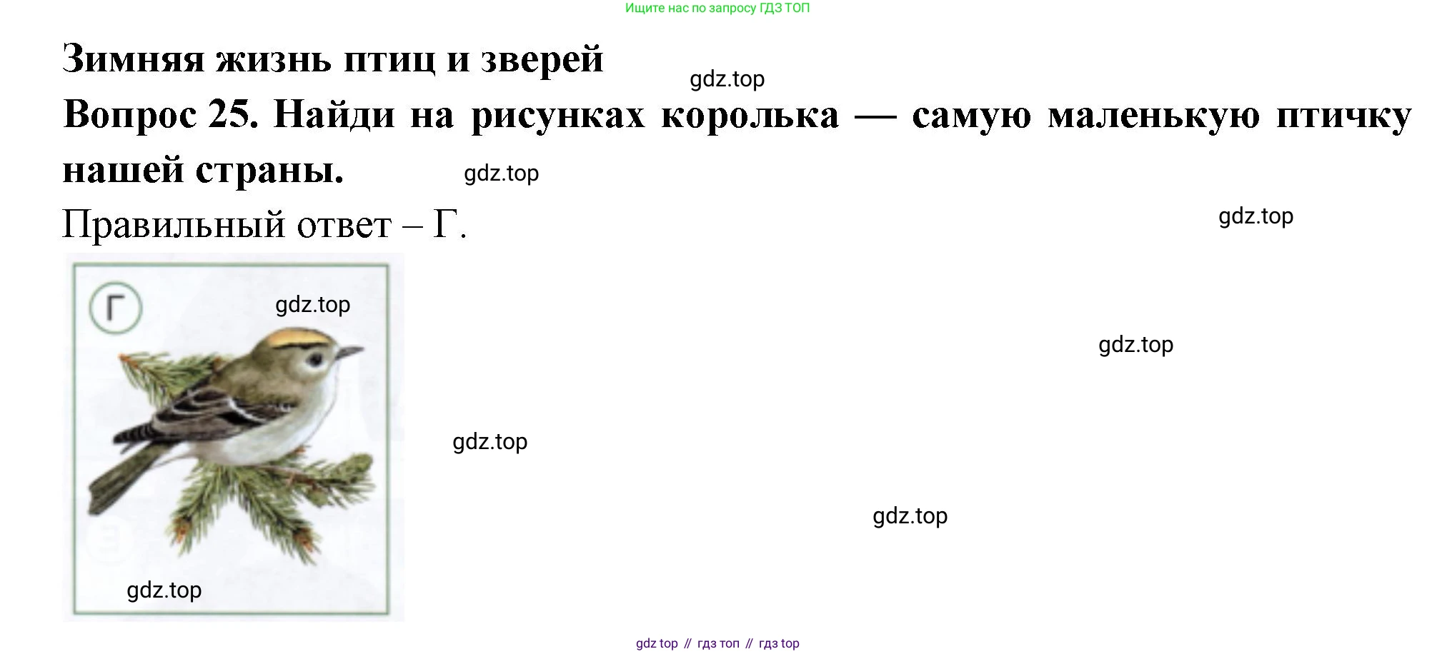 ГДЗ Окружающий мир, 2 класс Тесты, авторы: Плешаков Андрей Анатольевич, Новицкая Марина Юрьевна, Назарова З Д, издательство Просвещение, Москва, 2019, белого цвета, страница 45, номер 25, Решение