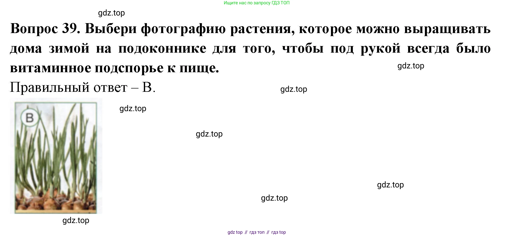 ГДЗ Окружающий мир, 2 класс Тесты, авторы: Плешаков Андрей Анатольевич, Новицкая Марина Юрьевна, Назарова З Д, издательство Просвещение, Москва, 2019, белого цвета, страница 50, номер 39, Решение