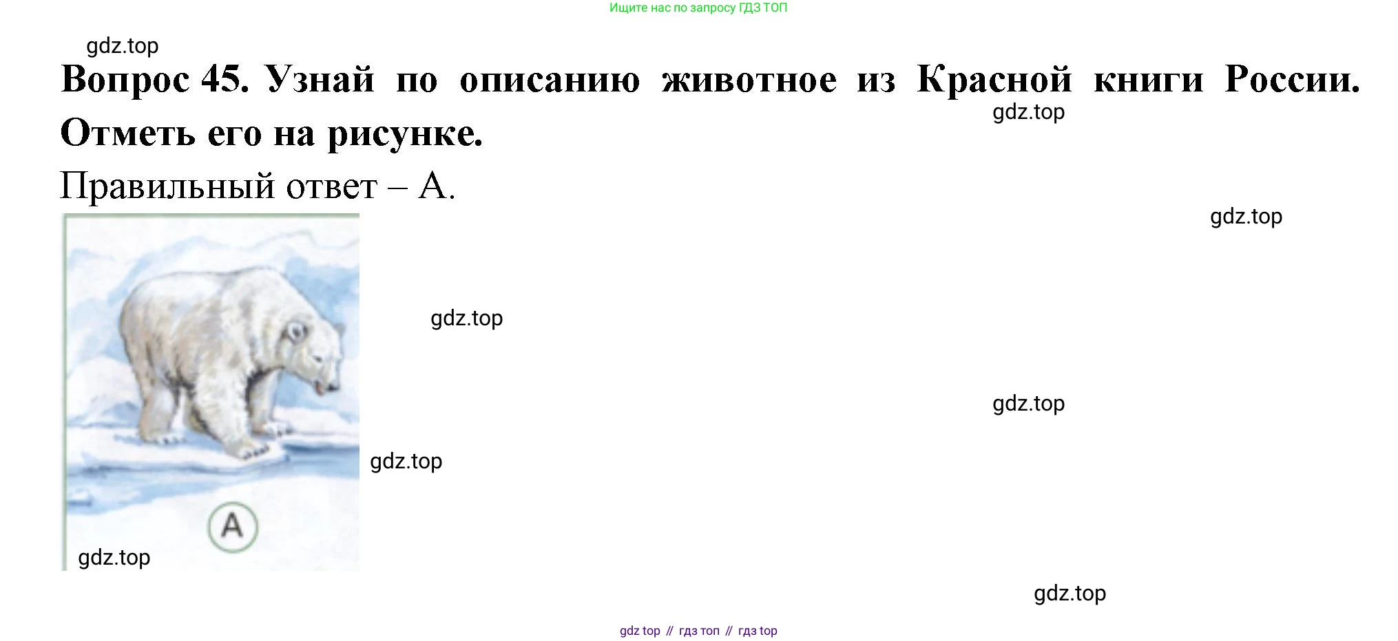 ГДЗ Окружающий мир, 2 класс Тесты, авторы: Плешаков Андрей Анатольевич, Новицкая Марина Юрьевна, Назарова З Д, издательство Просвещение, Москва, 2019, белого цвета, страница 54, номер 45, Решение