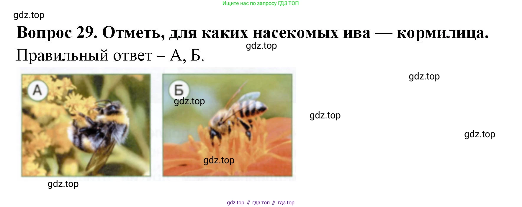 ГДЗ Окружающий мир, 2 класс Тесты, авторы: Плешаков Андрей Анатольевич, Новицкая Марина Юрьевна, Назарова З Д, издательство Просвещение, Москва, 2019, белого цвета, страница 64, номер 29, Решение