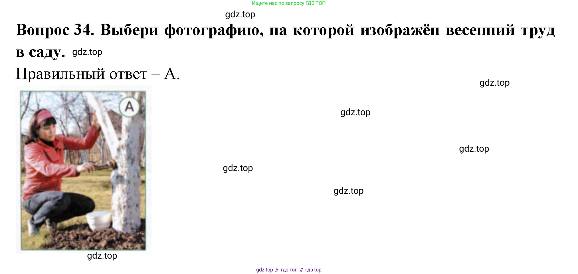 ГДЗ Окружающий мир, 2 класс Тесты, авторы: Плешаков Андрей Анатольевич, Новицкая Марина Юрьевна, Назарова З Д, издательство Просвещение, Москва, 2019, белого цвета, страница 65, номер 34, Решение