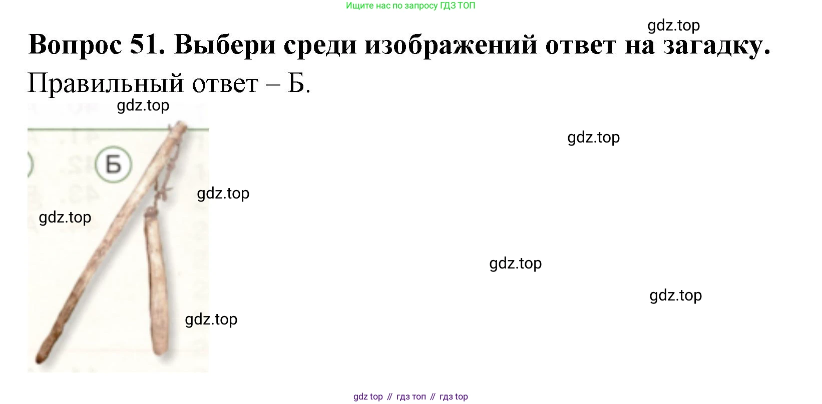 ГДЗ Окружающий мир, 2 класс Тесты, авторы: Плешаков Андрей Анатольевич, Новицкая Марина Юрьевна, Назарова З Д, издательство Просвещение, Москва, 2019, белого цвета, страница 73, номер 51, Решение