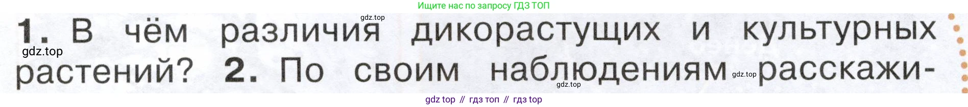 ГДЗ Окружающий мир, 2 класс Учебник, авторы: Плешаков Андрей Анатольевич, Новицкая Марина Юрьевна, издательство Просвещение, Москва, 2023, белого цвета, Часть 1, страница 76, номер 1, Условие