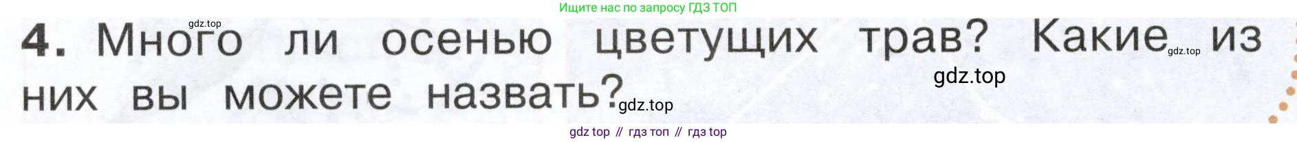 ГДЗ Окружающий мир, 2 класс Учебник, авторы: Плешаков Андрей Анатольевич, Новицкая Марина Юрьевна, издательство Просвещение, Москва, 2023, белого цвета, Часть 1, страница 76, номер 4, Условие