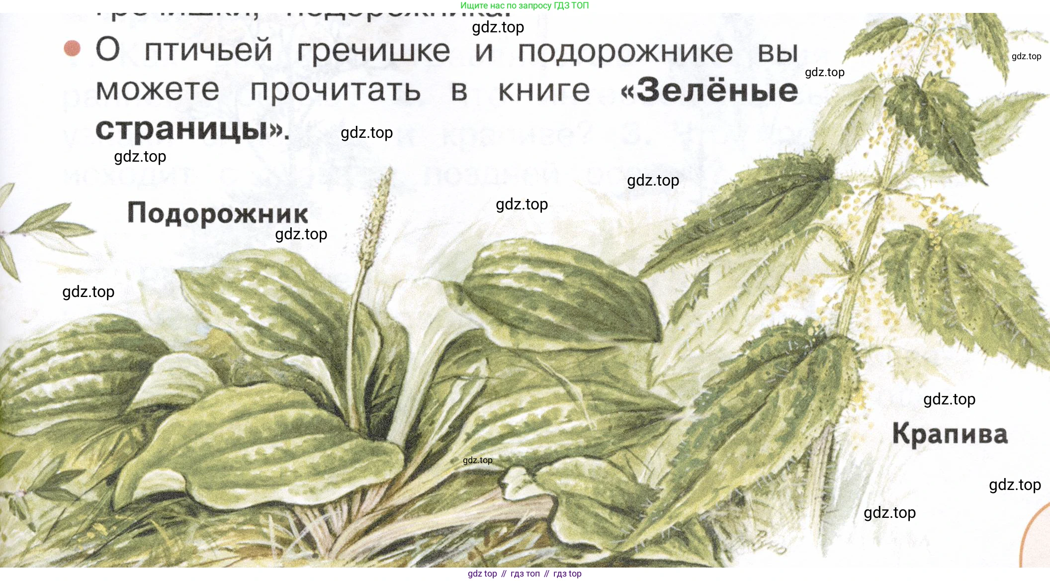 ГДЗ Окружающий мир, 2 класс Учебник, авторы: Плешаков Андрей Анатольевич, Новицкая Марина Юрьевна, издательство Просвещение, Москва, 2023, белого цвета, Часть 1, страница 77, номер 2, Условие