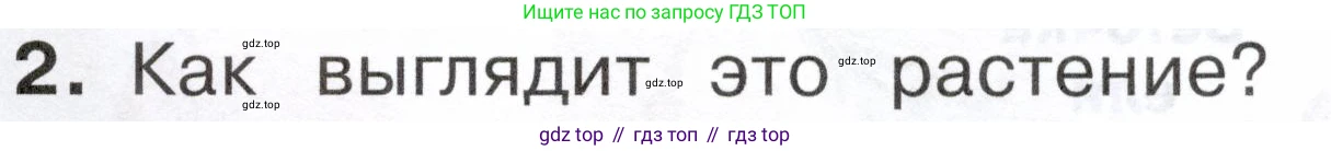 ГДЗ Окружающий мир, 2 класс Учебник, авторы: Плешаков Андрей Анатольевич, Новицкая Марина Юрьевна, издательство Просвещение, Москва, 2023, белого цвета, Часть 1, страница 83, номер 2, Условие