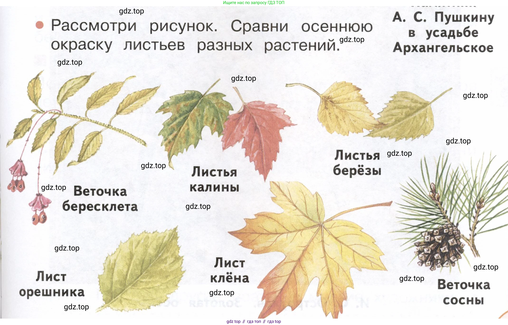 ГДЗ Окружающий мир, 2 класс Учебник, авторы: Плешаков Андрей Анатольевич, Новицкая Марина Юрьевна, издательство Просвещение, Москва, 2023, белого цвета, Часть 1, страница 85, номер 1, Условие