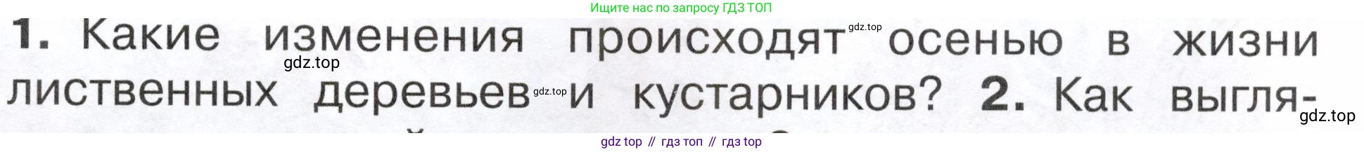 ГДЗ Окружающий мир, 2 класс Учебник, авторы: Плешаков Андрей Анатольевич, Новицкая Марина Юрьевна, издательство Просвещение, Москва, 2023, белого цвета, Часть 1, страница 87, номер 1, Условие