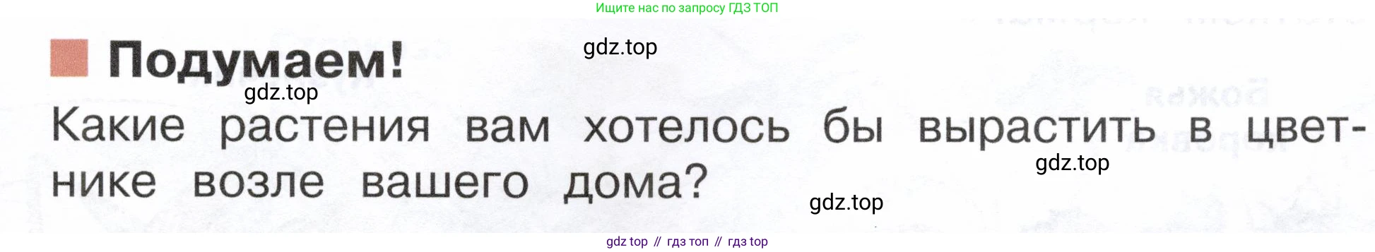 ГДЗ Окружающий мир, 2 класс Учебник, авторы: Плешаков Андрей Анатольевич, Новицкая Марина Юрьевна, издательство Просвещение, Москва, 2023, белого цвета, Часть 1, страница 91, Условие